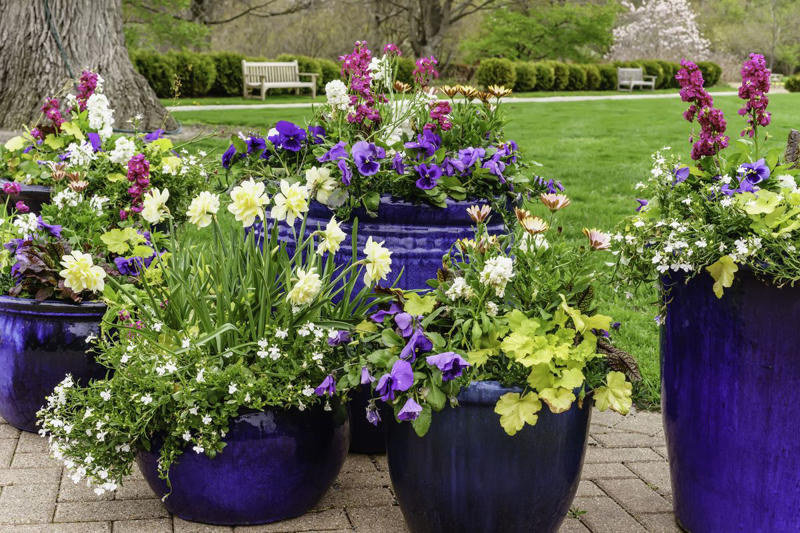 13) Plant: Olive Tree, 19) Plant: Impatiens, 25) Idea: Recycled Rain Boot Planters, 27) Idea: Tiny Teapot Planter, 29) Plant: Petunias, 30) Idea: Spiller, Thriller, Filler, 31) Plant: Sweet Alyssum, 33) Plant: Canna Lily, 36) Plant: Calibrachoa, 38) Idea: Cactus and Succulent Garden, 39) Idea: Multiple Pots in the Same Color, 40) Idea: Ladder Container Garden, 42) Idea: Terra Cotta Edible Garden, 45) Plant: Sweet Potato Vine, 47) Idea: Lush Hanging Baskets, 49) Plant: Chili Pepper, 50) Plant: Euphorbia, 51) Idea: Bicycle Planter, 52) Plant: Angelonia, 53) Idea: Stacked Boxes, 54) Plant: Coleus, 55) Plant: Nemesia