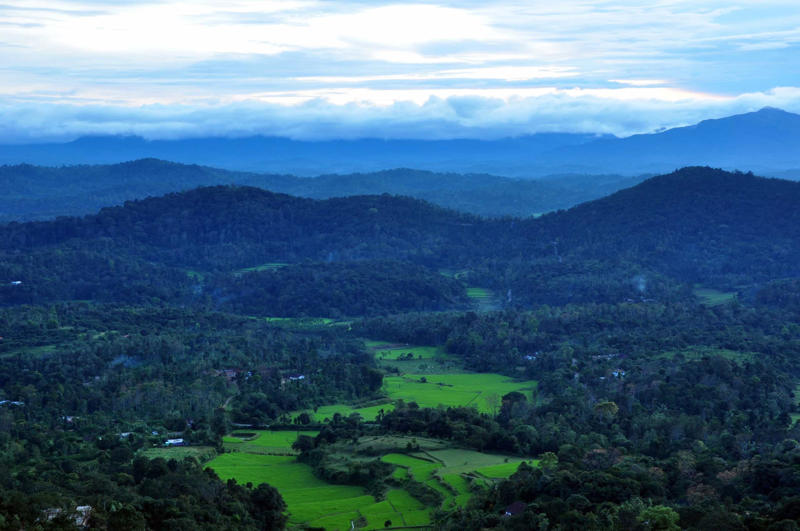 Nainital, Mussoorie, McLeodganj, Mount Abu, Kodaikanal, Matheran, Wilson Hills, Shillong