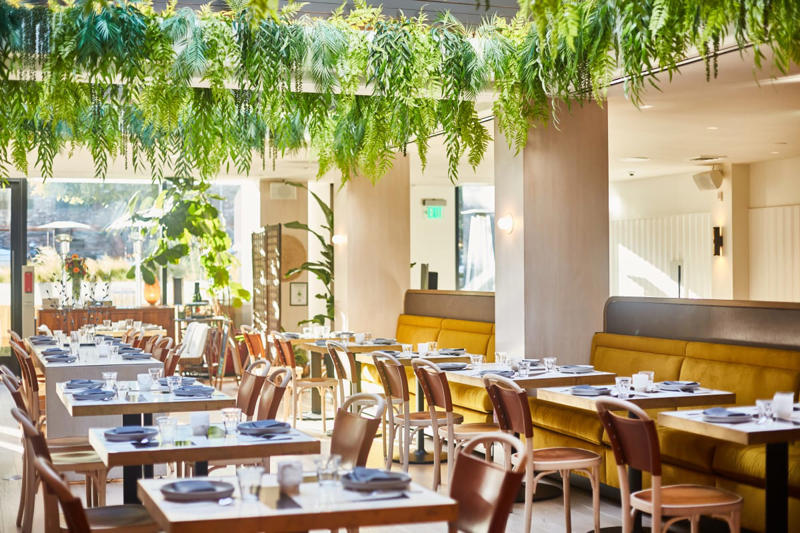 THE SPOTS, El Mil Amores, Foreign Cinema, Hong Kong Lounge, Piccino Presidio, Reem's Mission, Kitchen Story, Early To Rise, Tartine Manufactory, Smoke Soul Kitchen, Outerlands, Piglet & Co, Tastebuds, Mayaflor, Causwells, The Front Porch