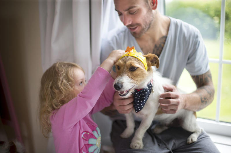 All-New Dad Jokes for 2025, Dark Dad Jokes, Reader Favorite Dad Jokes, Fresh Dad Jokes, Best Dad Jokes about Animals, Best Dad Jokes About Sports, Best Corny Dad Jokes , Best One-Liner Dad Jokes, Best Dad Joke Puns