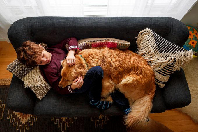 Decoding your dog’s happiness, About the experts, Soft, relaxed gaze, Happy facial expression, Tail and body wagging, Loose, bouncy stride, Play bow stance, Happy dancing, Physical contact, Normal appetite, Good behavior, Sufficient sleep, Friendly and social demeanor, How can you make your dog happier?, Why trust us