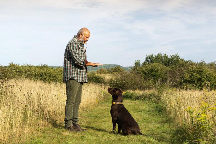 Decoding your dog's happiness, About the experts, Soft, relaxed gaze, Happy facial expression, Tail and body wagging, Loose, bouncy stride, Play bow stance, Happy dancing, Physical contact, Normal appetite, Good behavior, Sufficient sleep, Friendly and social demeanor, How can you make your dog happier?, Why trust us