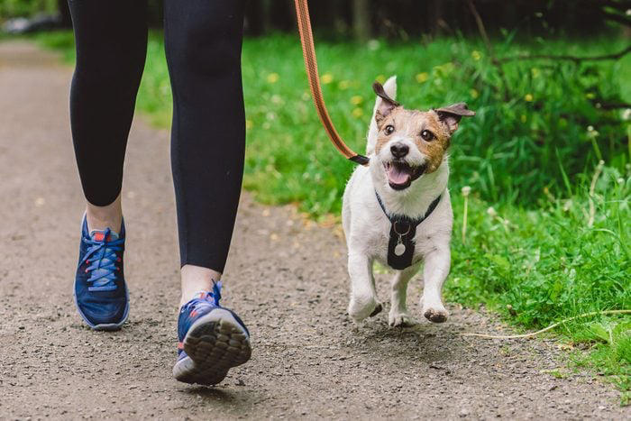 Decoding your dog's happiness, About the experts, Soft, relaxed gaze, Happy facial expression, Tail and body wagging, Loose, bouncy stride, Play bow stance, Happy dancing, Physical contact, Normal appetite, Good behavior, Sufficient sleep, Friendly and social demeanor, How can you make your dog happier?, Why trust us