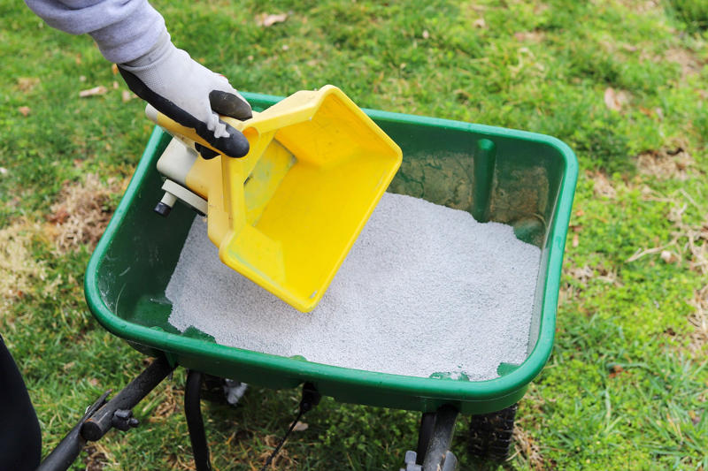 Don't Fertilize Shady Areas More