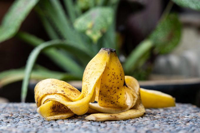 What to do with those extra bananas, Make a face mask, Eat a frozen “banana-sicle”, Polish silverware and leather shoes, Tenderize a roast, Brighten up houseplants, Deter aphids, Use as fertilizer or mulch, Assist with first aid, Ripen an avocado, Slough off dry skin, Remove warts, Attract butterflies and birds, Add to compost pile, Whiten teeth on the cheap, Get rid of splinters, Make banana “ice cream”, Create a dog treat, Restore dry hair, Ease heartburn, Prevent a scratched CD from skipping