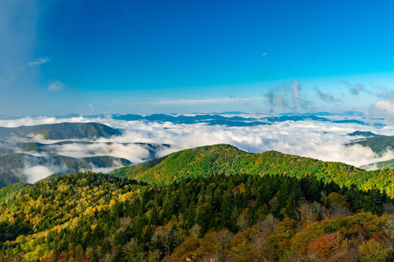3) Roanoke, Virginia 10) Big Bear, California, 9) Red Lodge, Montana, 8) Colorado Springs, Colorado, 7) Taos, New Mexico, 6) Maggie Valley, North Carolina, 5) Ogden, Utah, 4) Eureka Springs, Arkansas, 3) Roanoke, Virginia, 2) Robbinsville, North Carolina, 1) Presidio, Texas