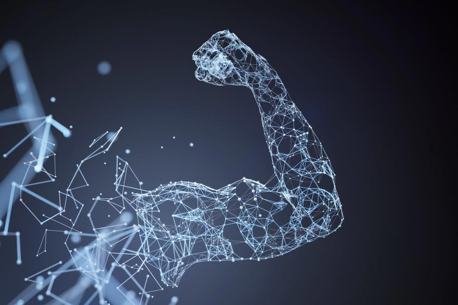 Cardio versus strength training, How muscles affect your ability to burn fat, How long it takes to put on muscle, Other benefits to lifting weights, Bottom line