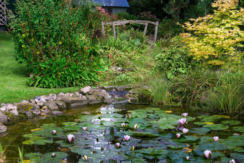 16) Edge a Pond 6) Combine Rocks and Mulch, 9) Design a Labyrinth, 10) Highlight Your Greenery, 14) Lay a Foundation, 15) Outline Flower Beds, 16) Edge a Pond, 17) Widen a Front Walk