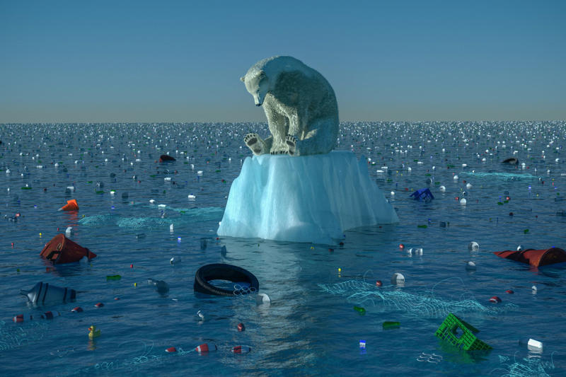 Risk of damage and even disappearance Record extremes in many categories, 25 out of 35 ‘vital signs’ were worse than ever recorded, Ocean temperatures hit a record high, Global heating is driving extreme weather, Climate change is jeopardizing life on Earth, Displaced by climate change, Hundreds of climate experts surveyed, Part of a wider crisis, Recommendations from scientists