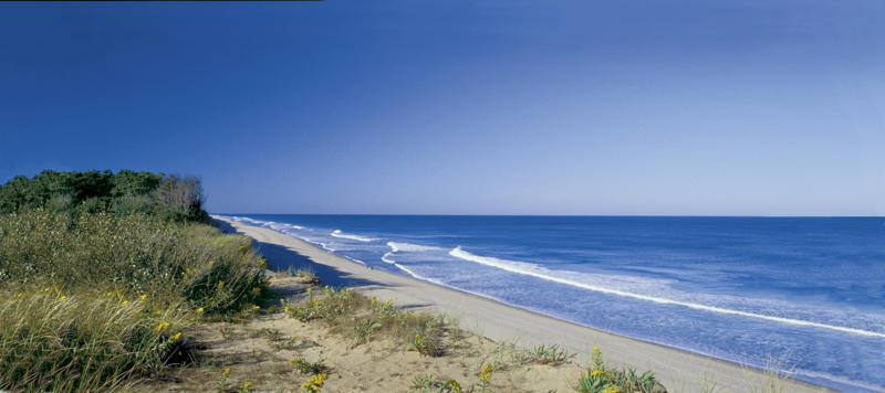 Provincetown, Nantucket, Bar Harbor, Maine, Ogunquit, Maine, Hampton Beach, N.H., Narragansett, R.I.