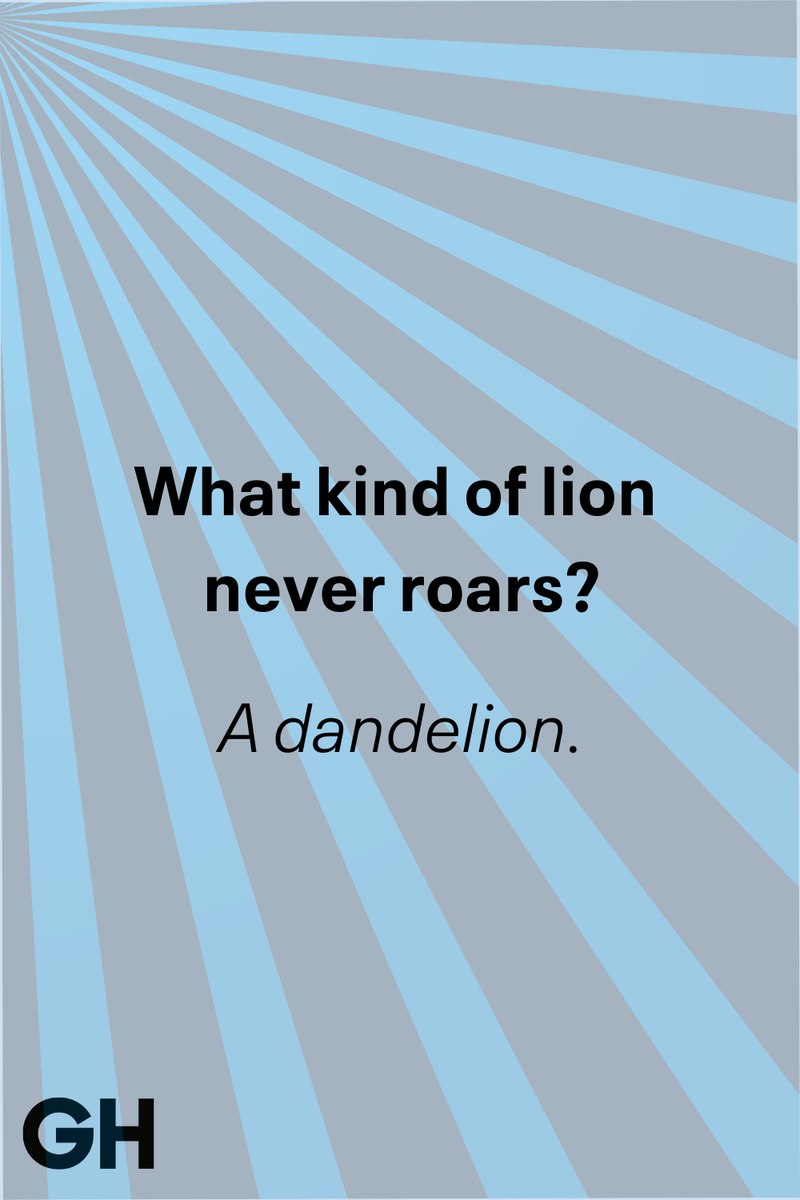 Tricky Riddles for Kids, Animal Riddles for Kids, Funny Riddles for Little Kids, Food Riddles for Kids, Math Riddles for Kids