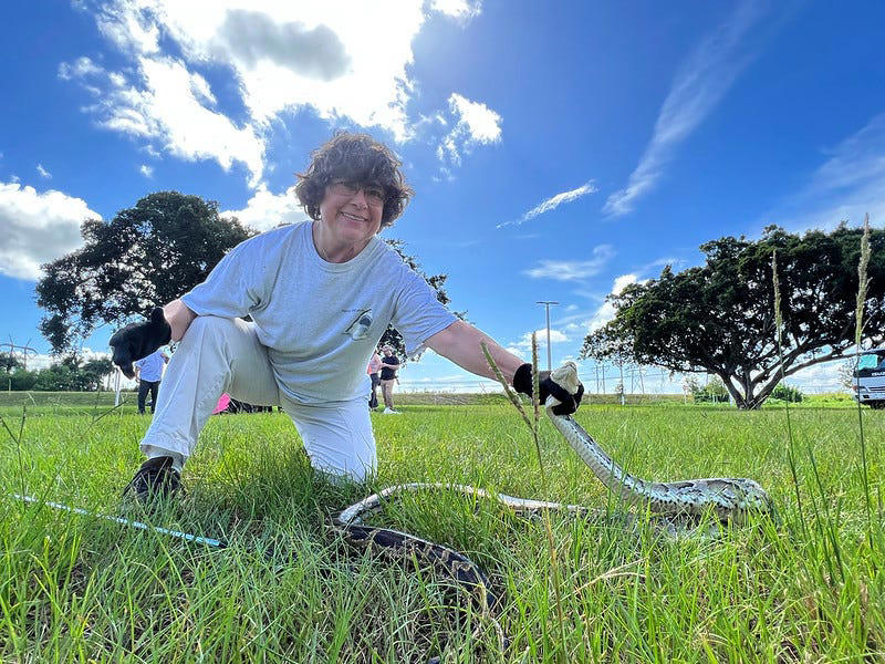 Capturing a Burmese python can be the thrill of a lifetime. The FWC has been hosting its Python Challenge since 2013 where professional and amateurs compete for prize money to catch and kill the most Burmese python. These are some of the memorable poses.