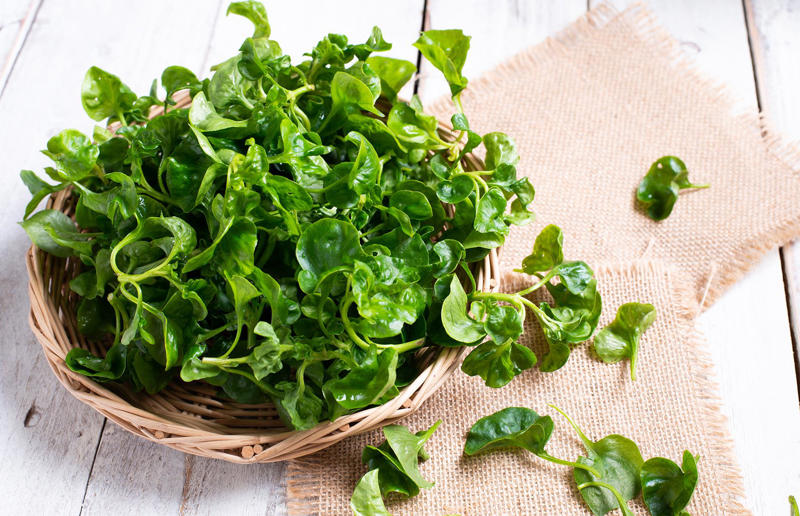 Use it or lose it, Broad bean pods, Broccoli, Cabbage and Brussels sprouts, Chickpea water, Clementines, Corn on the cob, Courgettes, Mushrooms, Root vegetables, Strawberries, Sweet potatoes, Tomatoes, Tortillas, Watercress