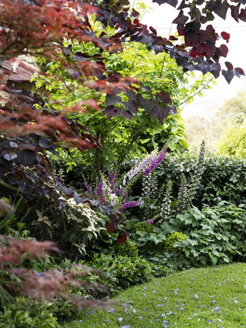      Collette Dinnigan’s enchanting gardens   ,      The manicured gardens of Lancemore Lindenderry   ,      A family-friendly garden that fits its home perfectly   ,      A Sydney family gives their heritage home the garden it deserves   ,      A flowering perennial garden in NSW   ,      Mayfield Garden in Oberon is an expansive, formal masterpiece   ,      A tropical garden in the heart of Melbourne   ,      A layered green-on-green palette has transformed this garden into a shaded sanctuary   ,      Romantic country garden transports visitors to another world   ,      A traditional front garden with a contemporary twist   ,      A country-style garden in suburban Melbourne   ,      A garden of contrasts that works harmoniously   ,      A naturalistic inner-city garden inspired by the Australian bush   ,      Ripe for the picking: a productive urban garden   ,      A small tropical garden with low-maintenance plants   ,      A family-friendly heritage home with a Mediterranean influence   ,      A semi-formal garden restoration reflecting a historic home   ,      Sophisticated family backyard revamp in Melbourne   ,      A former Macadamia farm provides a lush escape   ,      An inner-city terrace garden   ,      A private European-style courtyard garden   ,      A show-stopping sustainable garden   ,      A coastal home’s luscious front garden design   ,      A lush and layered Launceston garden   ,      A 19th century garden pays homage to its heritage   ,      A bushland retreat 30 minutes out of Melbourne’s CBD   ,      A formal cottage garden filled with earthly delights   ,      A rambling rural retreat in central Victoria   ,      A manicured garden on Victoria’s Mornington Peninsula   ,      An exceptional 19th century garden at Bronte House   ,      An English-meets-Australian garden in northern NSW   ,      South Australian garden bristles with life   ,      A grand garden reinvented for the 21st century   