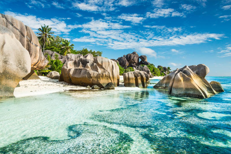 6) Seychelles Australia, Seychelles, South Africa, Indonesia, Argentina, Philippines, United Kingdom, Colombia, Tanzania, United States, Thailand, Switzerland