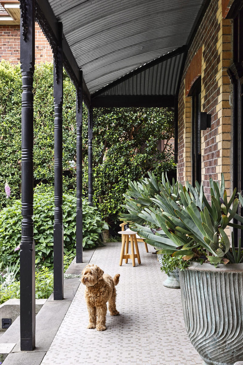 How do you make a small garden nice?, 13 clever small garden design ideas, Screening plants , Use the council verge , Create layers , A plunge pool , Maximise natural light , Mix and match , Plant groundcover , Create a leafy canopy , Diamond climbers , Add statement pot plants , Choose hardy shrubs , Create a tropical garden , Miniature manicured garden , How do you arrange pot plants in a small garden?, What is the cheapest ground cover for a garden?