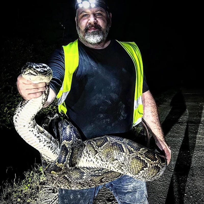 Python hunter Matthew Kogo poses with the 17-foot Burmese python he captured in the Everglades.