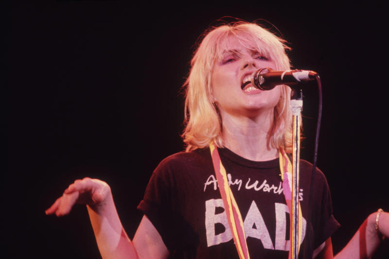 Blondie Crosby, Stills, Nash & Young, The Eagles, The Doors, Aerosmith, Van Halen, Metallica, Guns N' Roses, Fleetwood Mac, Bob Seger & the Silver Bullet Band, Steve Miller Band, Bruce Springsteen and the E Street Band, Foo Fighters, The Doobie Brothers
