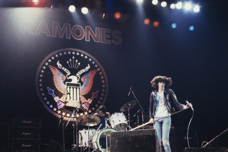 Ramones Crosby, Stills, Nash & Young, The Eagles, The Doors, Aerosmith, Van Halen, Metallica, Guns N' Roses, Fleetwood Mac, Bob Seger & the Silver Bullet Band, Steve Miller Band, Bruce Springsteen and the E Street Band, Foo Fighters, The Doobie Brothers