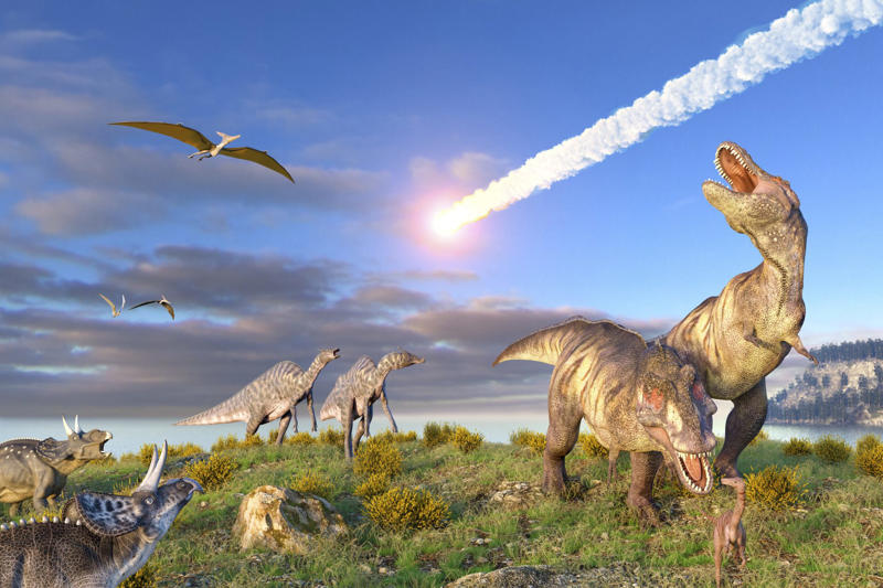 An impact that changed everything, A study on the impact of dinosaurs’ extinction, Forests became more dense, Fruit grew bigger, Favored animal reproduction, The development of the vine, Natural factors, Tangible evidence, A predictive model, A simulation over several millennia, The impact on evolution, A shrinkage, New species, A new turnaround, Cascading effects on evolution, Impact on the human diet, We destroy what the dinosaurs ate