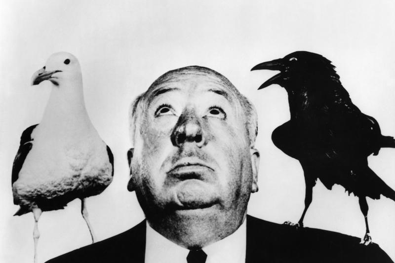 The art of command, Alfred Hitchcock: Terror with a British accent, Orson Welles: The prodigy who infuriated the magnates, Steven Spielberg: The sensitive blockbuster director who turned pop into prestige, Stanley Kubrick: The emperor of the millimetric frame and cold soul, Martin Scorsese: Catholic guilt, vices, and redemption at 24 frames per second, Francis Ford Coppola: Opera, madness and helicopters over Vietnam, Billy Wilder: The Austrian who understood Hollywood better than Hollywood itself, Kathryn Bigelow: The director who turned testosterone into surgical precision, John Ford: The tough guy who founded Western mythology