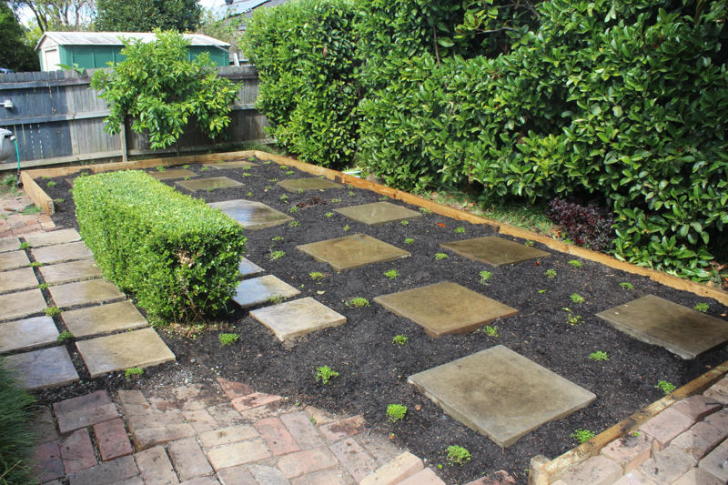 Why choose an Australian native lawn as an alternative to grass?, List of Australian native lawn alternatives, Sourcing native plants for your lawn, Benefits of native lawn alternatives, How to plant a native lawn, Why plant with sustainability and native plants in mind? 
