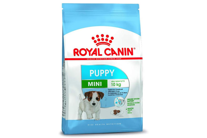 What's the difference between puppy food and adult dog food?, Lily's Kitchen Natural Puppy Dry Dog Food , Butternut Box , Pure Pet Food, Canagan Puppy Food, Royal Canin Mini Puppy Dry Dog Food, Wainwright's Dry Puppy Food, Forthglade Salmon Grain Free Cold Pressed Natural Dry Dog Food, Edgard &amp; Cooper Dry Puppy Food