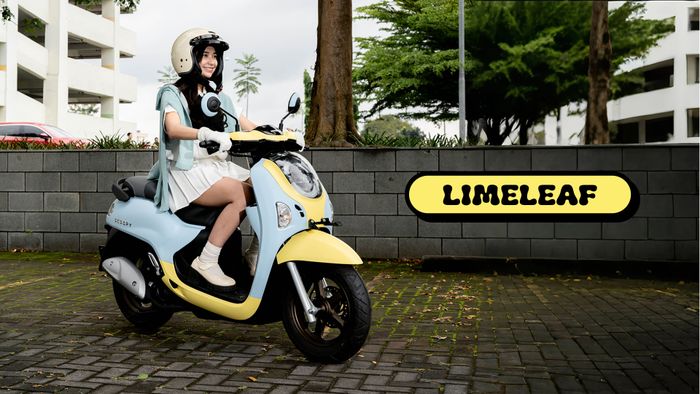 honda scoopy, astra motor jateng, Harga honda scoopy, scoopy special edition, scoopy custom, harga honda scoopy custom, Unyu Banget, Honda Scoopy Special Edition Disiapkan Khusus Warga Jateng, PO Cuma Sampai Tanggal Segini