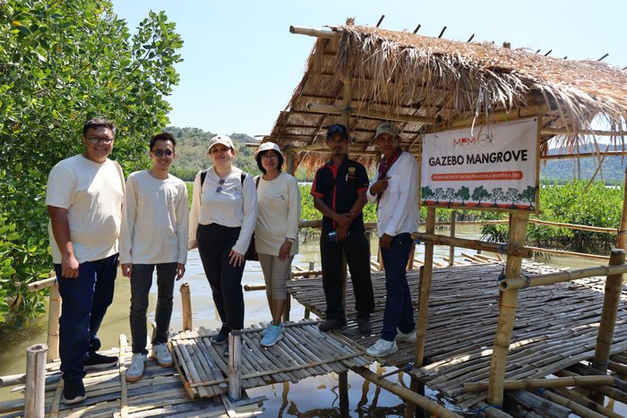 mpm honda jatim, PT Mitra Pinasthika Mustika Tbk, penanaman bibit mangrove, MPM Honda Jatim dan MPMX Bergandeng Tangan, Tanam 40 Ribu Bibit Mangrove di Manggarai Barat