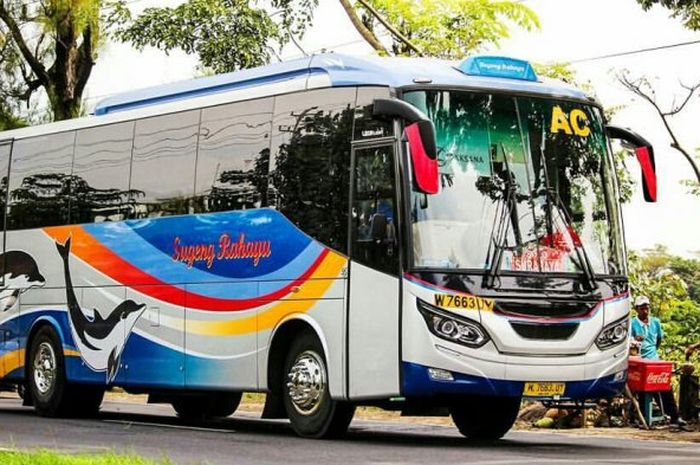 bus ugal-ugalan, bus sugeng rahayu, Bus PO Sugeng Rahayu, PO Sugeng Rahayu, Bus Jawa Timur, Diprotes Gak Tobat, Ini Alasan Kuat Bus Sugeng Rahayu Selalu Ngebut Ugal-ugalan