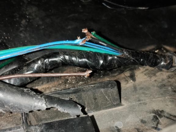 motor matic, kabel motor, kabel motor digigit tikus, kabel motor matic digigit tikus, kabel motor matic, penyebab kabel suka digigit tikus, Ternyata Kabel Di Motor Matic Ini Jadi Kesukaan Tikus, Rawan Digigit