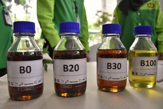 airlangga, bio diesel, Bahlil Lahadalia, BBM Alternatif, Juli Tahun Ini, Program Bio Diesel 50 Wajib Diimplementasikan