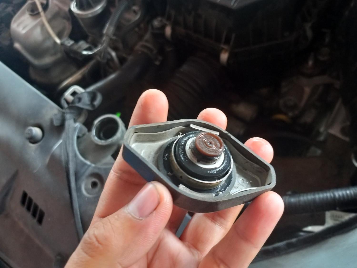 tips, mobil, mesin, rusak, pendingin, Overheat, tutup radiator, Awas, Tutup Radiator Mobil Rusak Bisa Ganggu Tekanan Sistem Pendingin