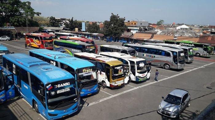 Bus AKAP, PO Harapan Jaya, Po Putra Pelangi, libur nataru, diskon tiket bus, po raya, Menggiurkan, Ini Tiga PO BUS AKAP Yang Beri Promo Tiket Selama Nataru 2025/2026