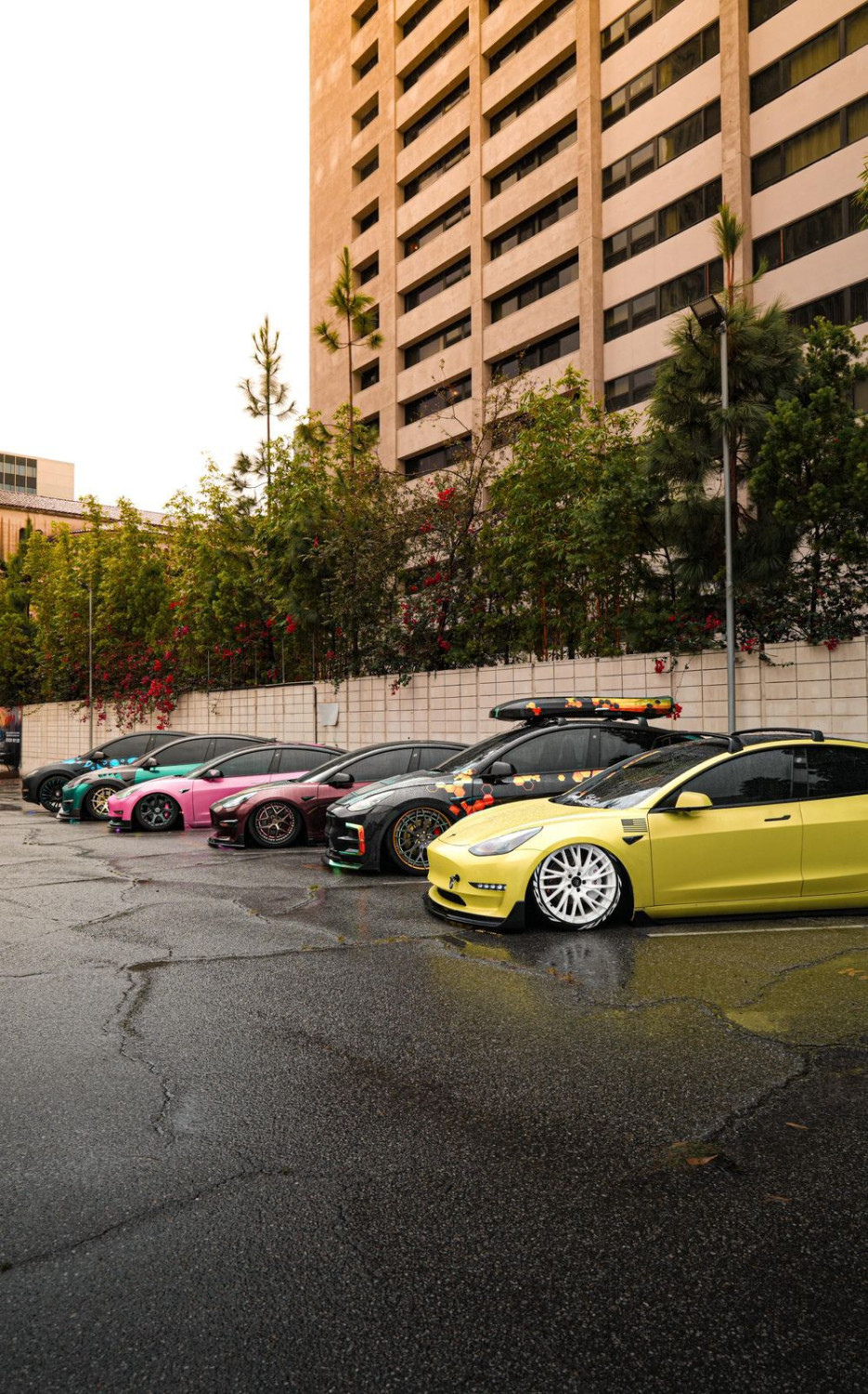 cat mobil, spider, PT Anugerah Berkat Cahaya Abadi (ABCA), ABCA, cat spider, IMX Car Meet Up 2025, Cat Spider Pamer di IMX Car Meet 2025 Los Angeles, Bikin Modifikator AS Melongo