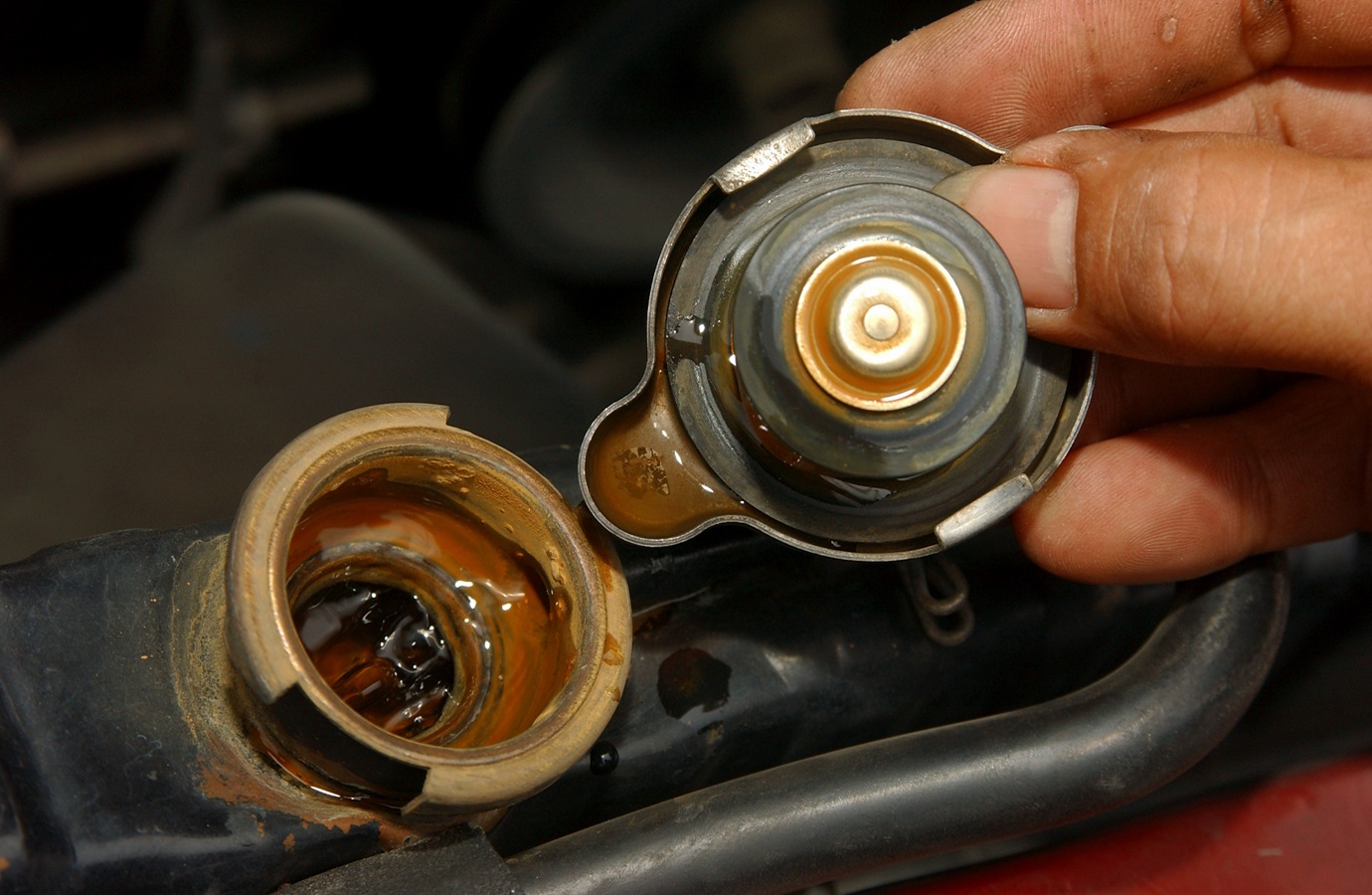 Overheat, keruh, radiator coolant, water pump, sistem pendingin, Dampak Radiator Coolant Mobil Berwarna Keruh Masih Terus Dipakai