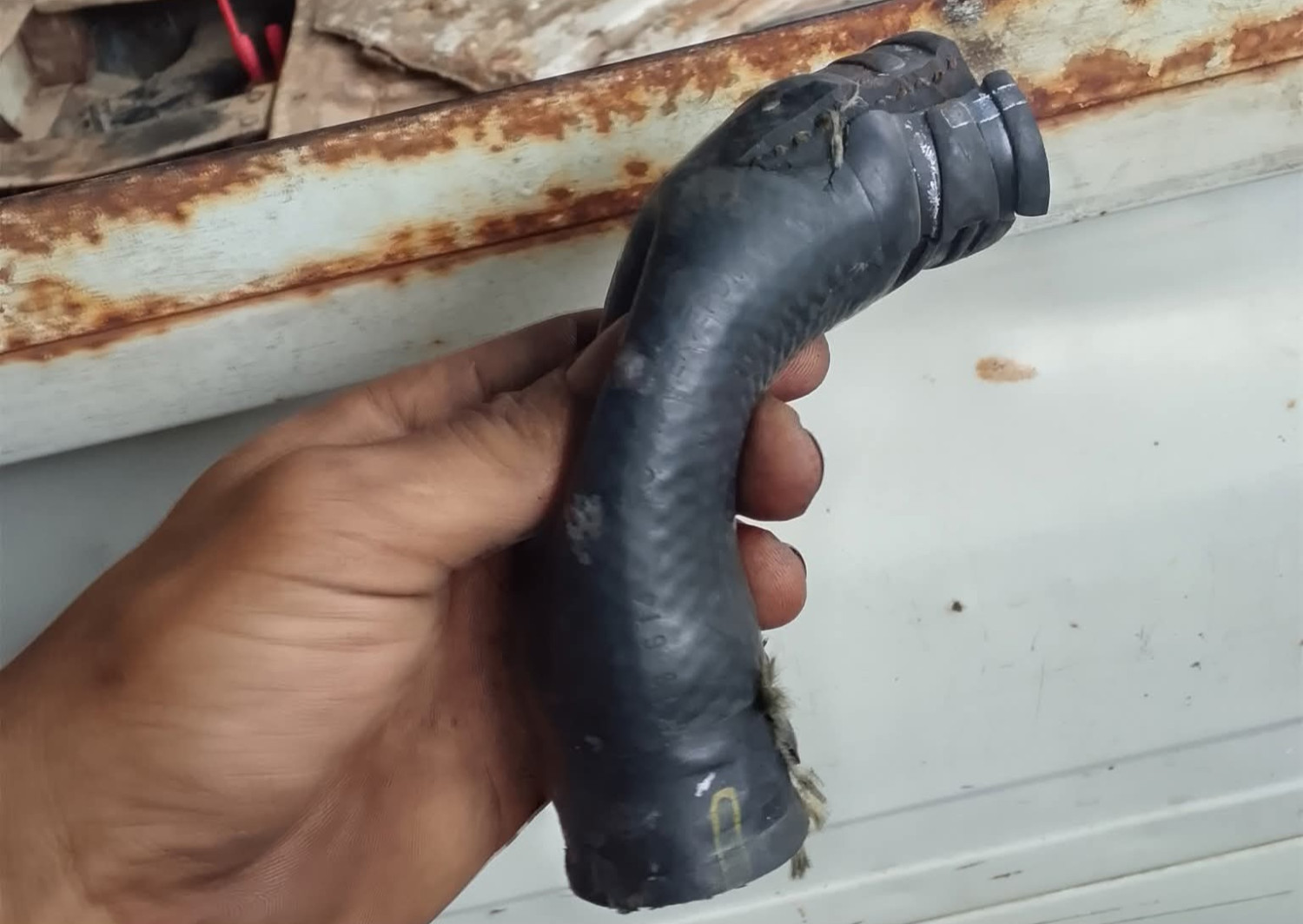 Radiator, mobil, mesin, coolant, selang, getas, Selang Radiator Mobil Getas Bisa Picu Kebocoran Cairan Radiator?