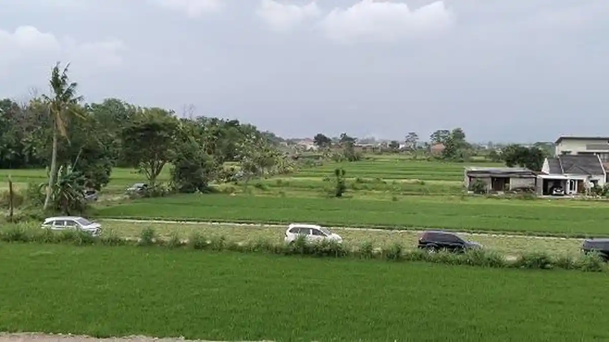 Google Maps, Gerbang Tol Purwomartani, pemudik tersesat, Google Maps Menyesatkan, Disesatkan Google Maps, Kena Tipu, Ratusan Mobil Tersasar Masuk Area Sawah saat Menuju Gerbang Tol Purwomartani