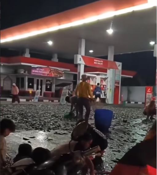 ikan lele, spbu pertamina, SPBU Cokro Klaten, Lele Tumpah di SPBU, Gempar SPBU Cokro Klaten Diserbu Makhluk Hitam dan Licin, Begini Kronologinya