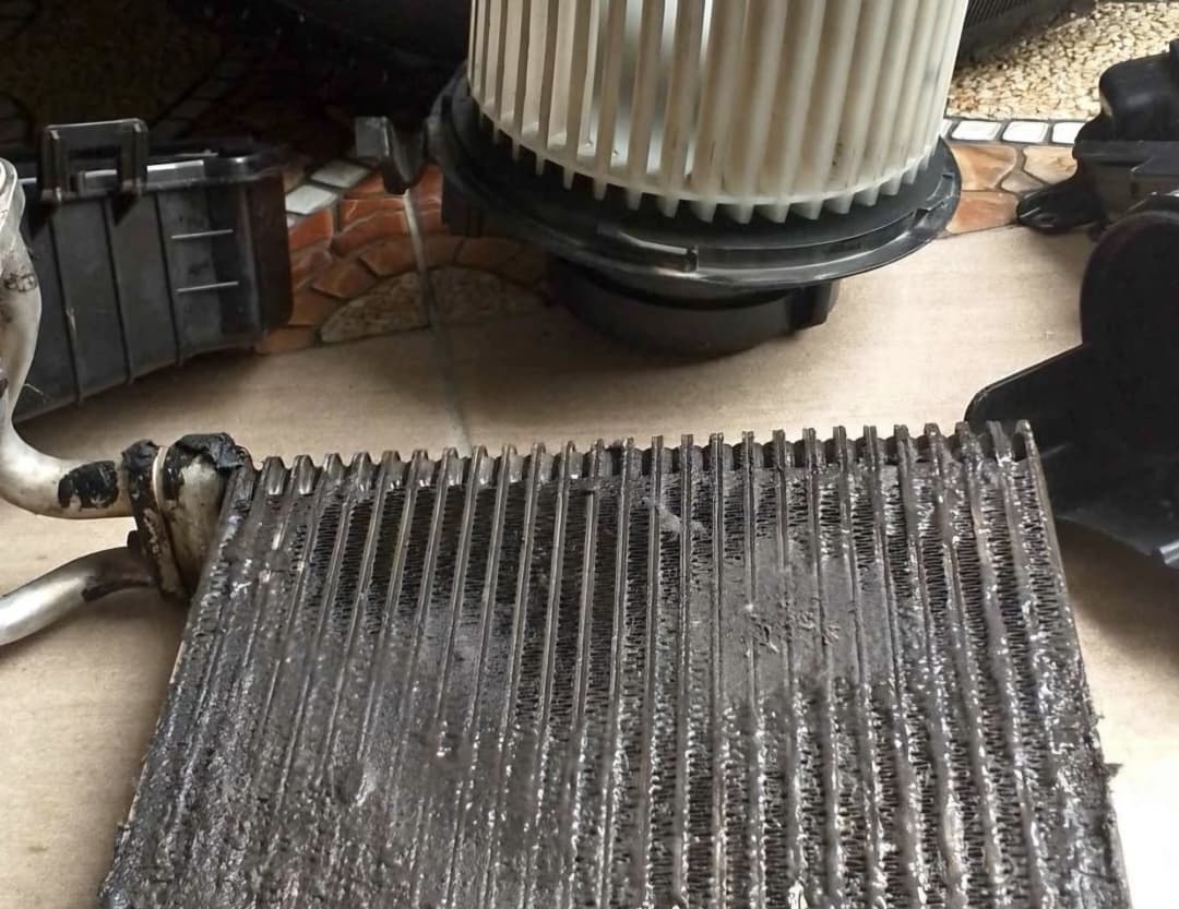 mobil, jamur, debu, evaporator, Evaporator Kotor Bisa Menjadi Penyebab Bau di Dalam Kabin Mobil