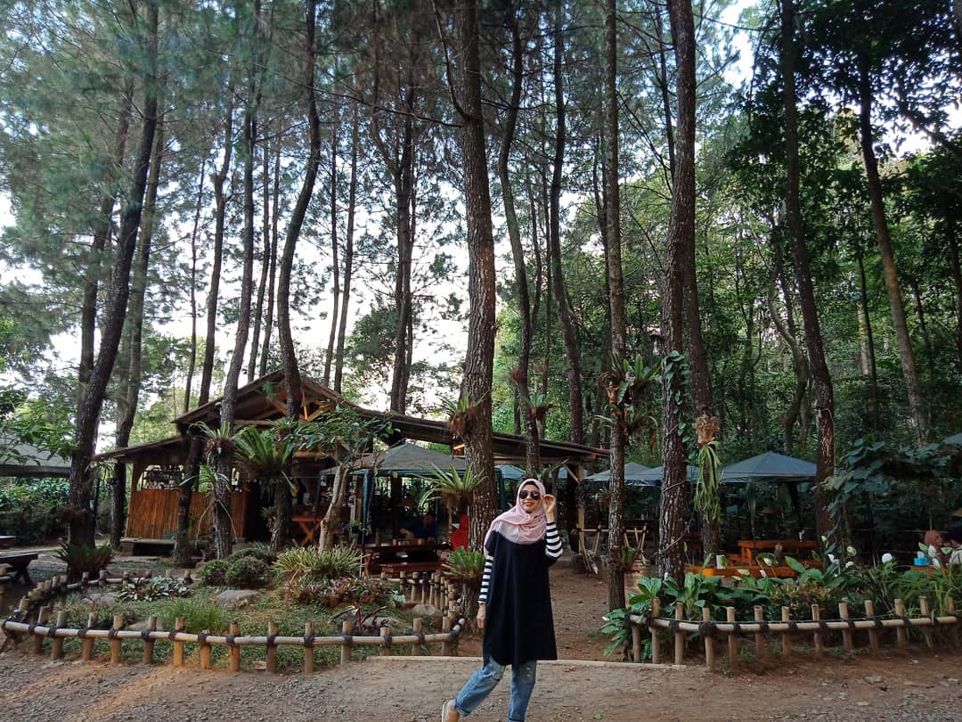 1. Wisata Alam Capolaga, 2. Pemandian Air Panas Ciater, 3. Desa Wisata Sari Bunihayu, 4. Curug Cileat, 5. Kebun Durian Buni Hayu, 6. Taman Wisata Tirta Alam, 7. Curug Bentang, 8. Curug Sadim, 9. Curug Karembong, 10. Curug Cilemper, 11. Pantai Cirewang, 12. Pantai Patimban, 13. Curug Mandala, 14. Curug Cijalu, 15. Masjid Agung Subang, 16. Kawah Ratu, 17. Wisata Alam Batu Kapur, 18. Pintu Gerbang Tangkuban Perahu, 19. Kawah Upas, 20. Hutan Kota Ranggawulung, 21. Gua Maria Gereja Katolik Paroki, 22. Situs Nyai Subang Larang, 23. Kebun Buah Naga, 24. Kasumber Mata Air Sipondok (Aqua Subang), 25. Masjid As Sa’adah, 26. Wisata Pancing Ikan Monster Lembah Gunung Kujang, 27. Tugu Nanas, 28. Kiara Ciater, 29. Kolam Renang Bintang Fantasi, 30. Pantai Tanjungpura, 31. Planet Water Boom, 32. Mata Air Cimincul, 33. Wisma Karya Subang, 34. Yogya Grand Subang, 35. Pasar Purwadadi
