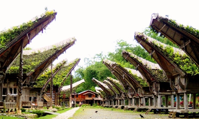 1. Trans Studio Makassar, 2. Bugis Waterpark, 3. Pelabuhan Paotere, 4. Dataran Tinggi Malino, 5. Danau Mawang, 6. Vihara Ibu Agung Bahari, 7. Pemandian Air Panas Lejja, 8. Pegunungan Karst Rammang-Rammang, 9. Desa Wisata Lakkang, 10. Masjid Terapung, 11. Danau Tempe, 12. Desa Wisata Ke’Te Kesu, 13. Kawasan Adat Ammatoa, 14. Pusat Kerajinan Perahu Phinisi, 15. Benteng Somba Opu