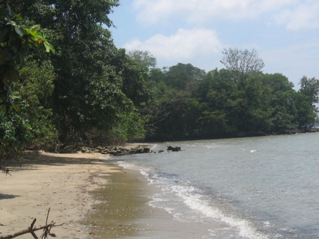 1. Danau Alamanda, 2. Transera Waterpark, 3. Bumi Perkemahan, 4. Situ Gede, 5. Saung Wulan, 6. Danau Cipule, 7. Klenteng Hok Lay Kiong, 8. Vihara Dharma Jaya, 9. Pura Agung Tirta Bhuana, 10. Masjid Jami’ Al-Hidayah, 11. Rimba Kota, 12. Danau Ramaias, 13. Taman Alun Alun Kota, 14. Galaxy Tirta Mas, 15. Go! Wet Waterpark, 16. Danau Marakas, 17. Waterboom Lippo Cikarang, 18. Taman Kemang Pratama, 19. Curug Parigi, 20. Dunia Salju, 21. Pantai Muara Gembong, 22. Pantai Muara Beting, 23. Pantai Muara Bendera, 24. Pantai Mekar, 25. Hutan Kota, 26. Taman Buaya Indonesia Jaya, 27. Gedung Juang 45, 28. Saung Ranggon, 29. Danau Cibeureum, 30. Rumah Pohon Jatiasih