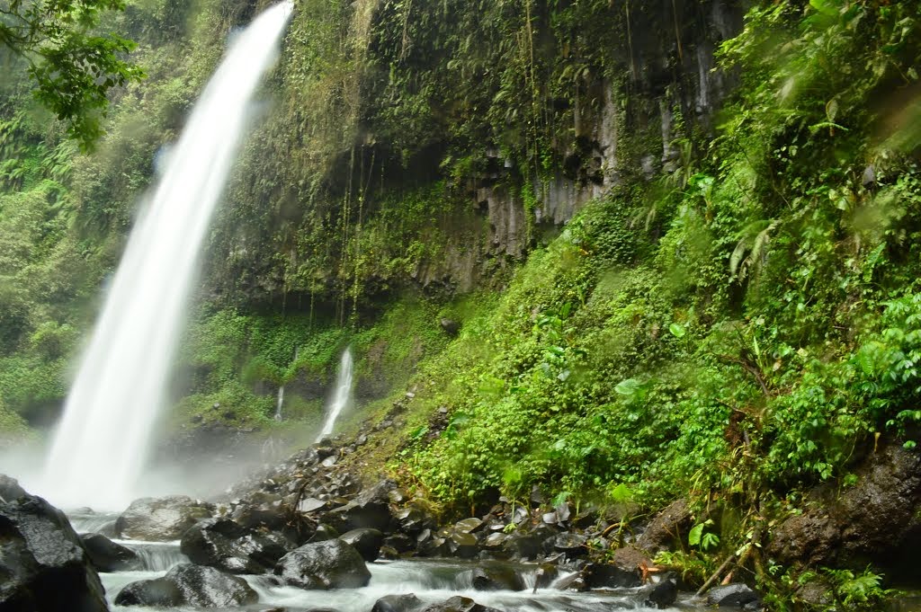 1. Teluk Hijau, 2. Watu Dodol, 3. Pantai Boom, 4. Desa Osing, 5. Air Terjun Lider, 6. Pantai Plengkung, 7. Pantai Sukamade, 8. Kawah Ijen, 9. Pulau Merah, 10. Alas Purwo, 11. Teluk Biru, 12. Hutan Pinus Songgon, 13. Air Terjun Tirto Kemanten, 14. Wedi Ireng, 15. Pantai Blimbingsari, 16. Umbul Bening, 17. Pantai Rajegwesi, 18. Mirah Fantasia, 19. Taman Blambangan, 20. Pantai Bangsring, 21. Air Terjun Jagir, 22. Pura Agung Blambangan, 23. Waduk Sidodadi Glenmore, 24. Rowo Bayu, 25. X-Badeng Adenture, 26. Mangrove Bedul Ecotourism, 27. Pantai Mustika Pancer, 28. Taman Sritanjung, 29. Rowo Biru, 30. Pemandian Tamansuruh, 31. Kawah Bulan Sabit, 32. Taman Sayu Wiwit, 33. Pantai Trianggulasi, 34. Pulau Tabuhan, 35. Taman Nasional Baluran, 36. Savana Sadengan, 37. Parangkursi, 38. Air Terjun Selendang Arum, 39. Pantai Grajagan, 40. Jawatan Benculuk