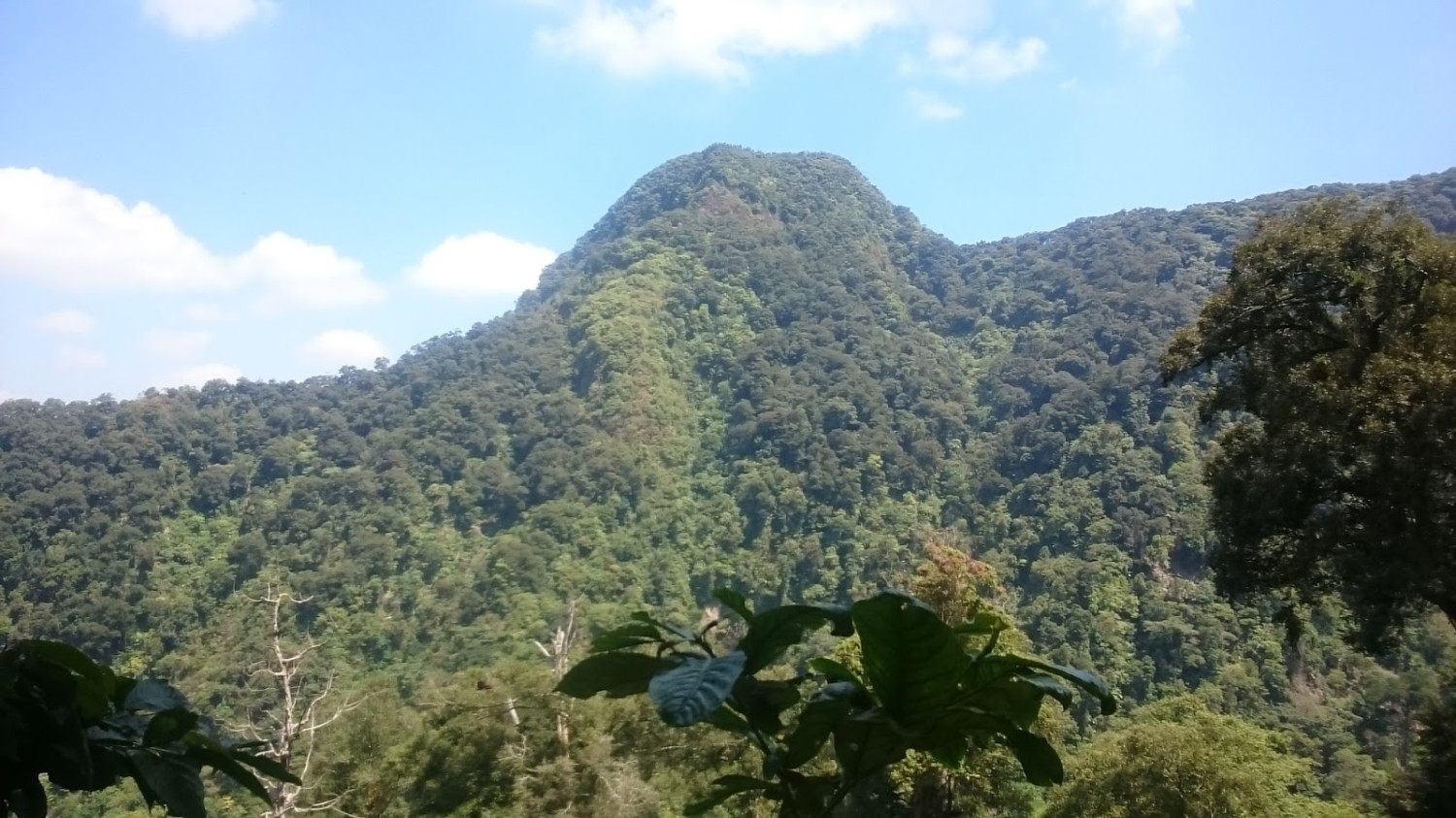 1. Pantai Bandengan, 2. Kepulauan Karimunjawa, 3. Akar Seribu Plajan, 4. Pantai Kartini, 5. Museum R.A Kartini , 6. Pulau Panjang, 7. Benteng Portugis, 8. Air Terjun Songgolangit, 9. Pantai Teluk Awur, 10. Pantai Pungkruk, 11. Pulau Mandalika, 12. Pantai Ombak Mati, 13. Pantai Gua Manik, 14. Goa Tritip, 15. Danau Blingoh, 16. Pertapaan Ratu Kalinyamat, 17. Masjid Mantingan, 18. Air Terjun Jurang Nganten, 19. Candi Bubrah, 20. Tiara Park Waterboom, 21. Jepara Ocean Park, 22. Gunung Genuk, 23. Gunung Muria, 24. Hutan Wisata Wono Sreni Indah, 25. Hutan Pinus Setro Batealit