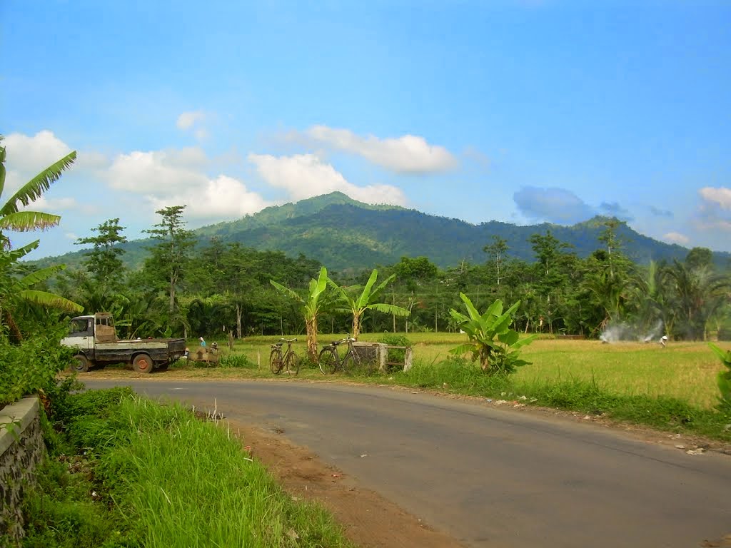 1. Pantai Bandengan, 2. Kepulauan Karimunjawa, 3. Akar Seribu Plajan, 4. Pantai Kartini, 5. Museum R.A Kartini , 6. Pulau Panjang, 7. Benteng Portugis, 8. Air Terjun Songgolangit, 9. Pantai Teluk Awur, 10. Pantai Pungkruk, 11. Pulau Mandalika, 12. Pantai Ombak Mati, 13. Pantai Gua Manik, 14. Goa Tritip, 15. Danau Blingoh, 16. Pertapaan Ratu Kalinyamat, 17. Masjid Mantingan, 18. Air Terjun Jurang Nganten, 19. Candi Bubrah, 20. Tiara Park Waterboom, 21. Jepara Ocean Park, 22. Gunung Genuk, 23. Gunung Muria, 24. Hutan Wisata Wono Sreni Indah, 25. Hutan Pinus Setro Batealit