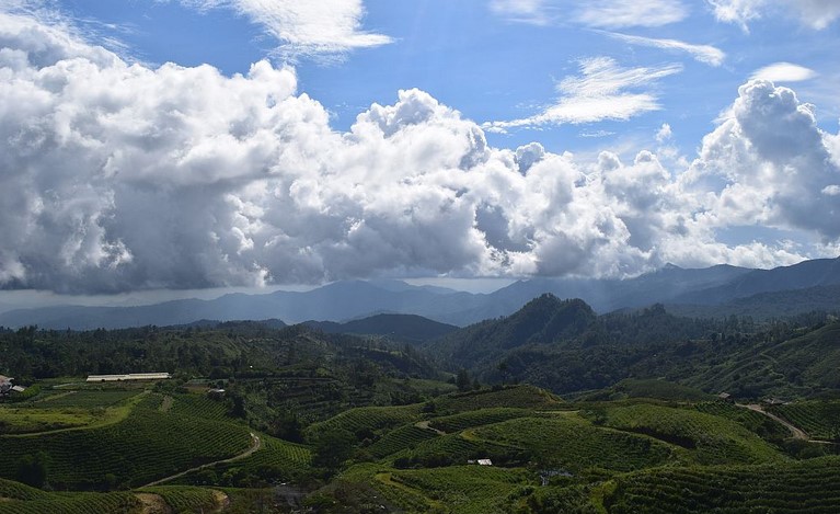 1. Trans Studio Makassar, 2. Bugis Waterpark, 3. Pelabuhan Paotere, 4. Dataran Tinggi Malino, 5. Danau Mawang, 6. Vihara Ibu Agung Bahari, 7. Pemandian Air Panas Lejja, 8. Pegunungan Karst Rammang-Rammang, 9. Desa Wisata Lakkang, 10. Masjid Terapung, 11. Danau Tempe, 12. Desa Wisata Ke’Te Kesu, 13. Kawasan Adat Ammatoa, 14. Pusat Kerajinan Perahu Phinisi, 15. Benteng Somba Opu