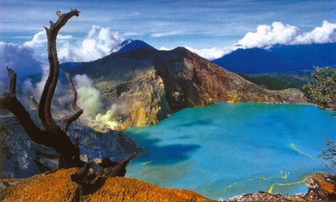 1. Teluk Hijau, 2. Watu Dodol, 3. Pantai Boom, 4. Desa Osing, 5. Air Terjun Lider, 6. Pantai Plengkung, 7. Pantai Sukamade, 8. Kawah Ijen, 9. Pulau Merah, 10. Alas Purwo, 11. Teluk Biru, 12. Hutan Pinus Songgon, 13. Air Terjun Tirto Kemanten, 14. Wedi Ireng, 15. Pantai Blimbingsari, 16. Umbul Bening, 17. Pantai Rajegwesi, 18. Mirah Fantasia, 19. Taman Blambangan, 20. Pantai Bangsring, 21. Air Terjun Jagir, 22. Pura Agung Blambangan, 23. Waduk Sidodadi Glenmore, 24. Rowo Bayu, 25. X-Badeng Adenture, 26. Mangrove Bedul Ecotourism, 27. Pantai Mustika Pancer, 28. Taman Sritanjung, 29. Rowo Biru, 30. Pemandian Tamansuruh, 31. Kawah Bulan Sabit, 32. Taman Sayu Wiwit, 33. Pantai Trianggulasi, 34. Pulau Tabuhan, 35. Taman Nasional Baluran, 36. Savana Sadengan, 37. Parangkursi, 38. Air Terjun Selendang Arum, 39. Pantai Grajagan, 40. Jawatan Benculuk
