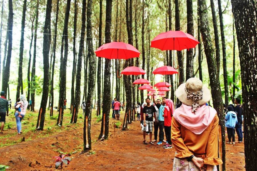 1. Teluk Hijau, 2. Watu Dodol, 3. Pantai Boom, 4. Desa Osing, 5. Air Terjun Lider, 6. Pantai Plengkung, 7. Pantai Sukamade, 8. Kawah Ijen, 9. Pulau Merah, 10. Alas Purwo, 11. Teluk Biru, 12. Hutan Pinus Songgon, 13. Air Terjun Tirto Kemanten, 14. Wedi Ireng, 15. Pantai Blimbingsari, 16. Umbul Bening, 17. Pantai Rajegwesi, 18. Mirah Fantasia, 19. Taman Blambangan, 20. Pantai Bangsring, 21. Air Terjun Jagir, 22. Pura Agung Blambangan, 23. Waduk Sidodadi Glenmore, 24. Rowo Bayu, 25. X-Badeng Adenture, 26. Mangrove Bedul Ecotourism, 27. Pantai Mustika Pancer, 28. Taman Sritanjung, 29. Rowo Biru, 30. Pemandian Tamansuruh, 31. Kawah Bulan Sabit, 32. Taman Sayu Wiwit, 33. Pantai Trianggulasi, 34. Pulau Tabuhan, 35. Taman Nasional Baluran, 36. Savana Sadengan, 37. Parangkursi, 38. Air Terjun Selendang Arum, 39. Pantai Grajagan, 40. Jawatan Benculuk
