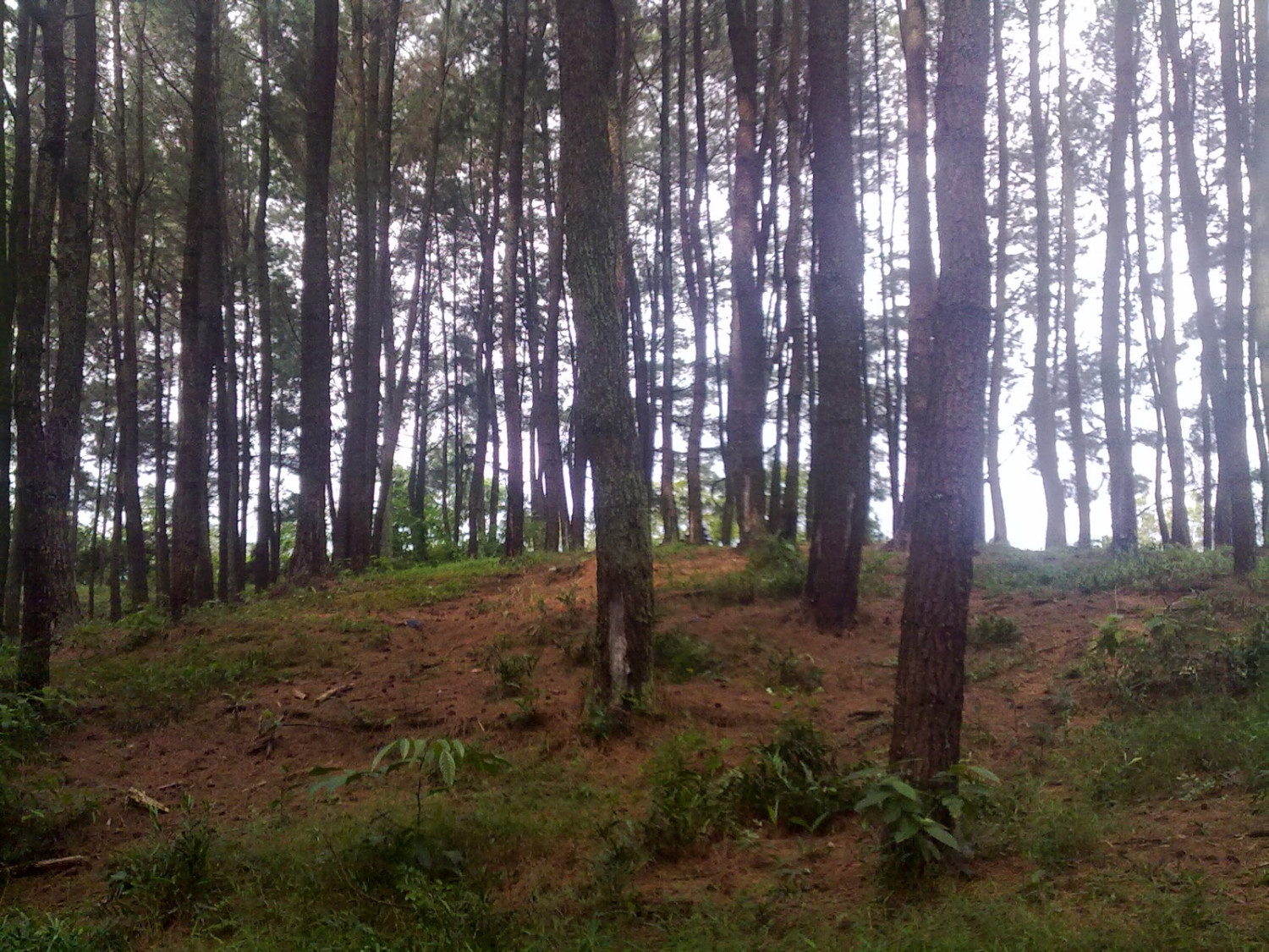 1. Pantai Bandengan, 2. Kepulauan Karimunjawa, 3. Akar Seribu Plajan, 4. Pantai Kartini, 5. Museum R.A Kartini , 6. Pulau Panjang, 7. Benteng Portugis, 8. Air Terjun Songgolangit, 9. Pantai Teluk Awur, 10. Pantai Pungkruk, 11. Pulau Mandalika, 12. Pantai Ombak Mati, 13. Pantai Gua Manik, 14. Goa Tritip, 15. Danau Blingoh, 16. Pertapaan Ratu Kalinyamat, 17. Masjid Mantingan, 18. Air Terjun Jurang Nganten, 19. Candi Bubrah, 20. Tiara Park Waterboom, 21. Jepara Ocean Park, 22. Gunung Genuk, 23. Gunung Muria, 24. Hutan Wisata Wono Sreni Indah, 25. Hutan Pinus Setro Batealit